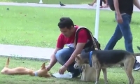 Miembro de los Guardianes Caninos alimentando a uno de las mascotas de la Universidad.