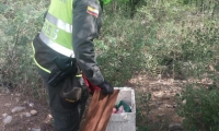 El recién nacido fue encontrado dentro de una nevera de icopor, cerca de la laguna de oxidación del municipio de Hatonuevo.