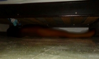 El cuerpo sin vida fue encontrado desnudo y debajo de una cama.