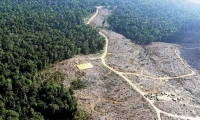 Deforestación en Colombia