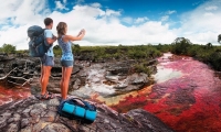 Caño Cristales