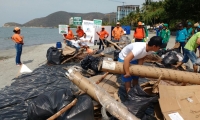 Fueron retirados 620 kilogramos de residuos.