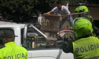 Las aves siendo llevadas por las autoridades 