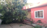 El árbol cayó en la carrera 12, entre calles 32 y 32 A.