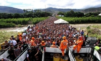 Imagen de referencia.