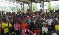 A la fecha están suscritos los acuerdos de sustitución con 11.385 familias, de las cuales 6.779 son cultivadores, 3.614 no cultivadores y 792 son recolectores.