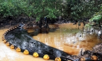 Contaminación en la quebrada La Lizama.