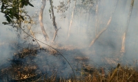 El incendio al parecer fue ocasionado por cazadores.