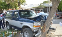 La camioneta chocó contra un árbol. 