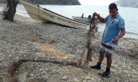 Limpieza realizada en Bahía Gairaca.