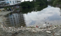 Mortandad de peces en la desembocadura del río Manzanares.