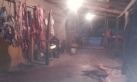 Matadero ilegal en Algarrobo, Magdalena.