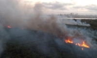 Incendio en el Vía Parque Isla Salamanca