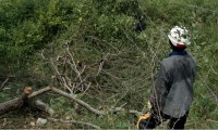 El robo de cables se ha registrado en la zona rural de Cerro de San Antonio.