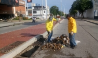 Limpieza en la Avenida del Ferrocarril