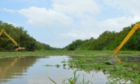 Ciénaga Grande de Santa Marta.