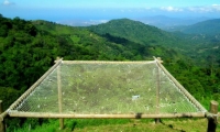 Casa Elemento.