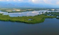 Ciénaga grande de Santa Marta