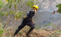 En el municipio se han registrado 33 incendios forestales en el presente año. 