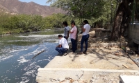 La mortandad de peces se registra en el canal de Las Iguanas, en El Rodadero.