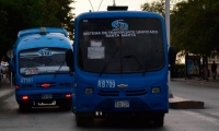 La pareja se grabó a bordo de un bus del STU.