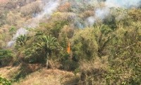 Necesitan apoyo aéreo para controlar el fuego.