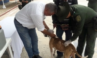 Jornada de vacunación de caninos en Fundación.