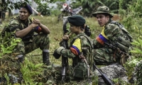 Donación de ONU beneficiará a hijos de excombatientes de las Farc