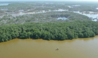 Ciénaga Grande de Santa Marta