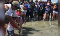 La liberación se llevó a cabo en Pozos Colorados.