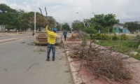 Trabajadores limpiando los alrededores de los escenarios deportivos.