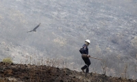 Incendio forestal en Tolima.