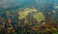 Incendio en el Amazonas