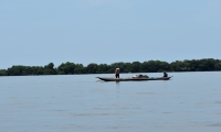 Ciénaga Grande de Santa Marta