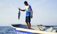 Con el ánimo de resaltar la pesca local como soporte de las tradiciones que preservan la gastronomía típica, apostándole a las técnicas responsables de pesca y a su sostenibilidad.