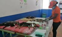 Esterilización felina y canina.