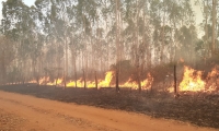 El Magdalena se ha visto afectado fuertemente por los distintos incendios forestales que se han registrado 