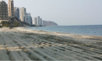 Jornada de oxigenación de playas.