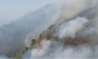 Incendios en Tigrera.