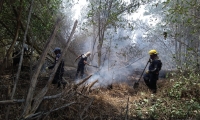 El incendio es controlado por el Cuerpo de Bomberos de Sitionuevo. 