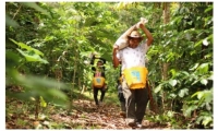 El trabajo de estos campesinos, ahora productores de café, dio como resultado un gran logro para la asociación, la firma de un contrato con la Federación Nacional de Cafeteros para exportar 105.000 kilogramos de café orgánico.