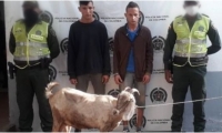 Los involucrados fueron observados cuando trasladaban al animal.