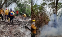 Avanzan labores para controlar incendio forestal en el Vía Parque Isla de Salamanca.