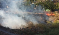 Imágenes del incendio de este viernes en la tarde. 