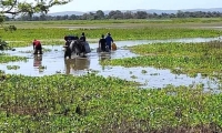 Ciénaga donde se abastecen los habitantes de Pedraza.