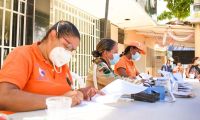 Esterilizaciones de la Alcaldía en Santa Marta.