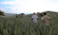 La Unidad de Restitución de Tierras busca hacer presencia en todo el territorio nacional.