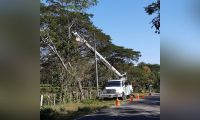 Trabajos en la zona afectada.