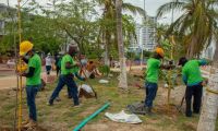 Estas acciones forman parte del componente de sostenibilidad ambiental del Camellón de la Bahía