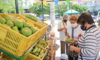 Feria campesina en El Rodadero.